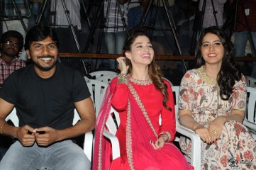 Bengal Tiger Movie Press Meet